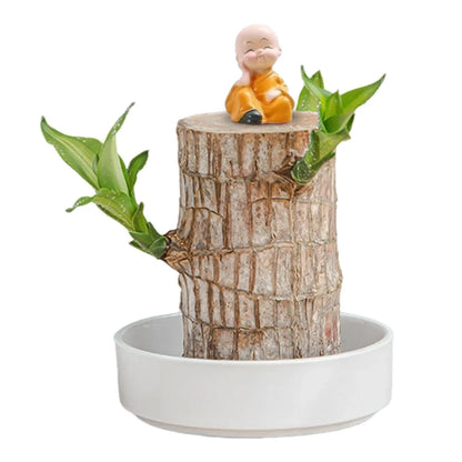 Brazilian Lucky Wood