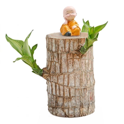 Brazilian Lucky Wood