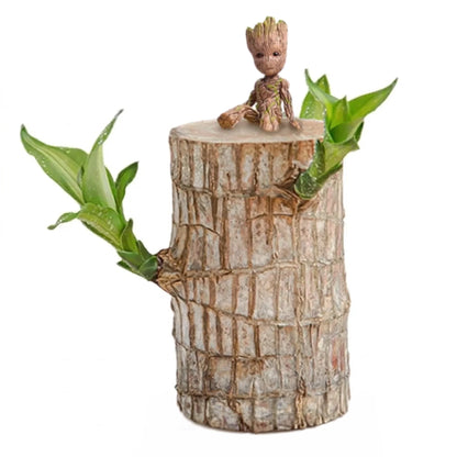 Brazilian Lucky Wood