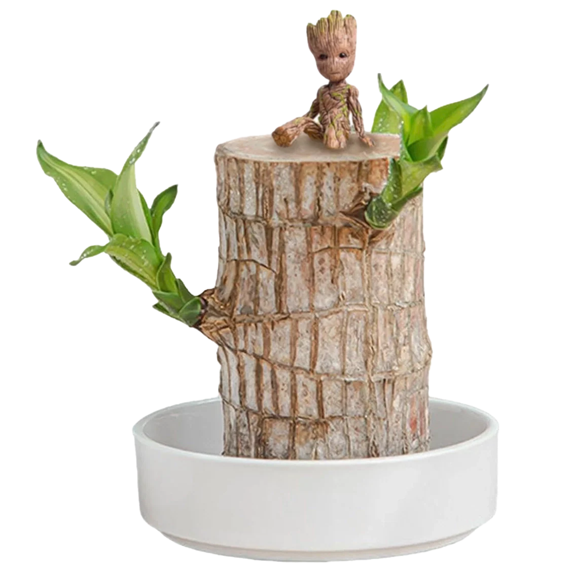 Ready to Grow